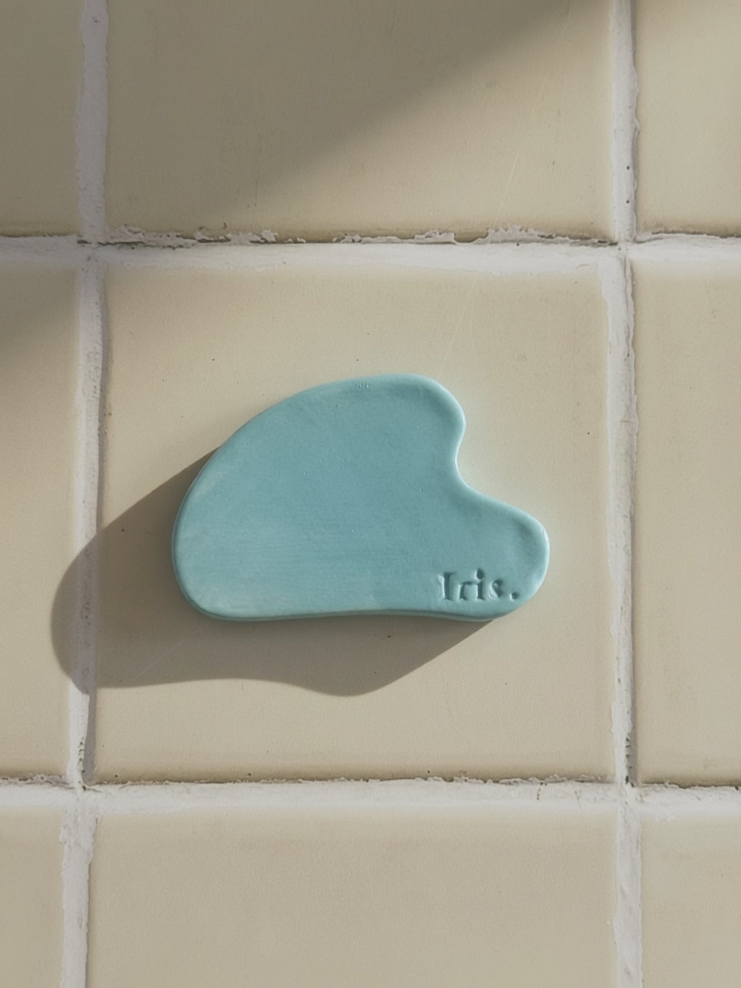 The Iris Gua Sha